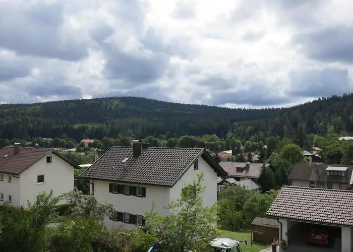 Waldheimat 2 * Bayerisch Eisenstein